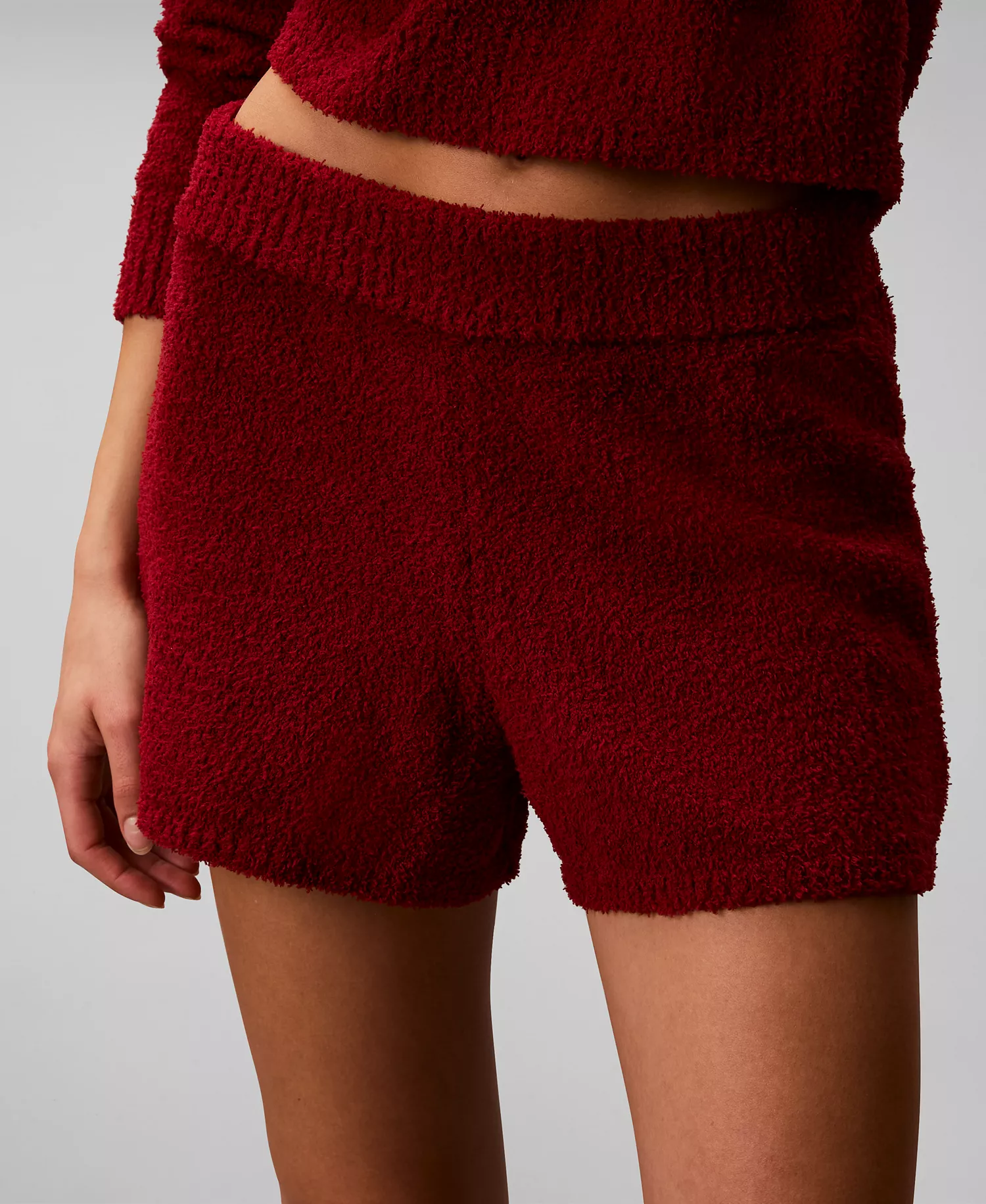 mni-35e52d51237a37126fdcab2f283fd11e Women's Lounge Plush Shorts — изображение 3