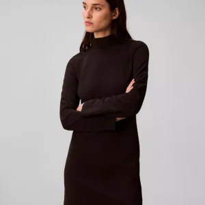 Women's Long Sleeve Turtle Neck Mini Dress