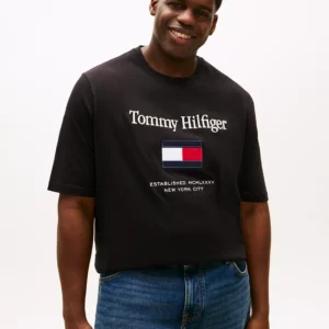 Men's Big & Tall Embroidered Flag T-Shirt
