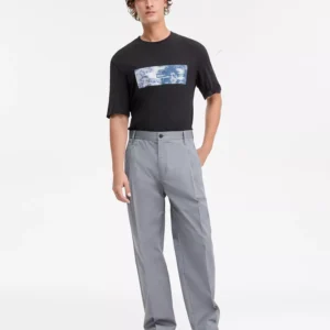 Roy Regular Fit Pleated Trousers