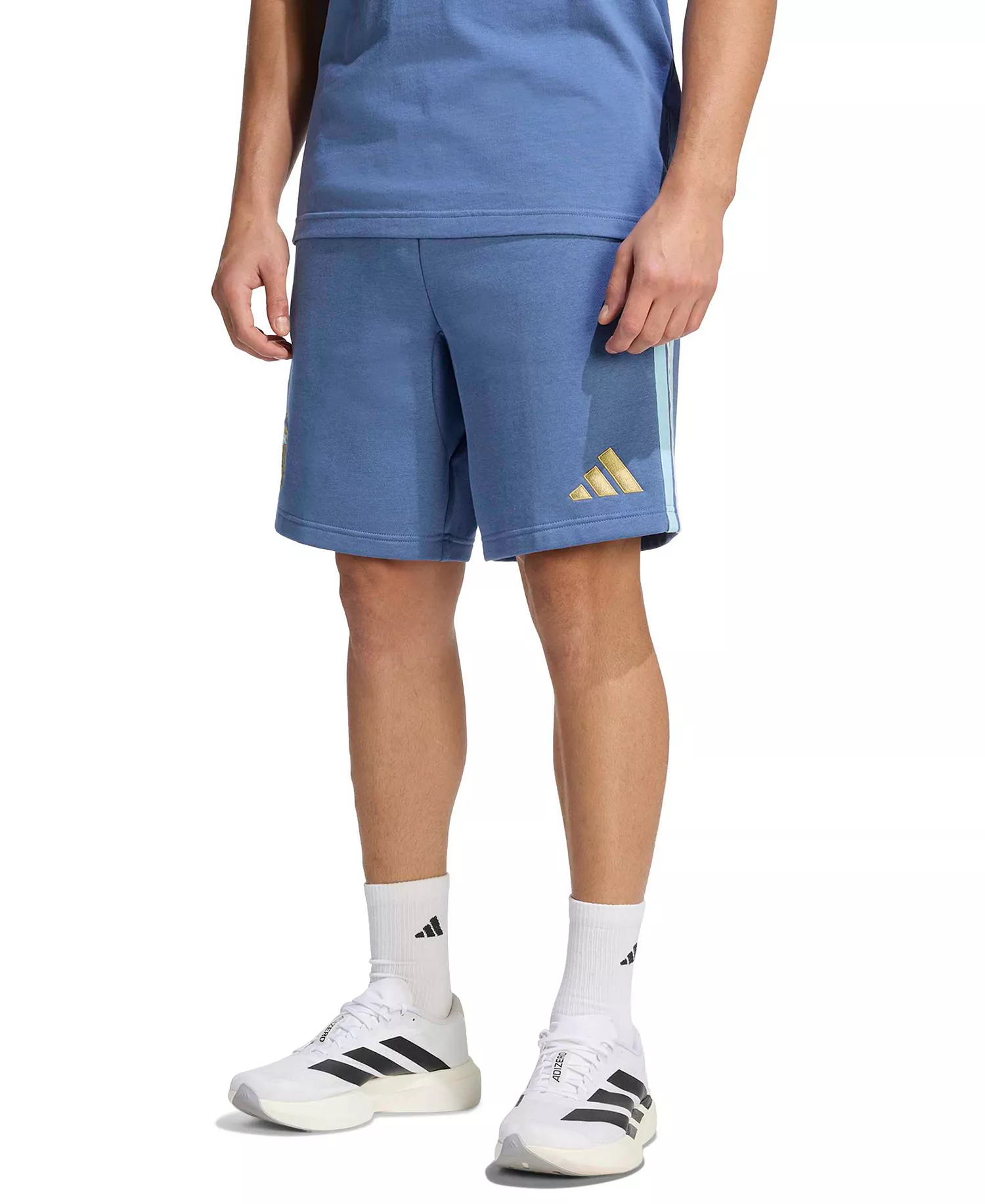 mni-8bdbe8c52dfceb8af679fddbf60eb9dd Men's Argentina DNA Fleece Regular-Fit Shorts