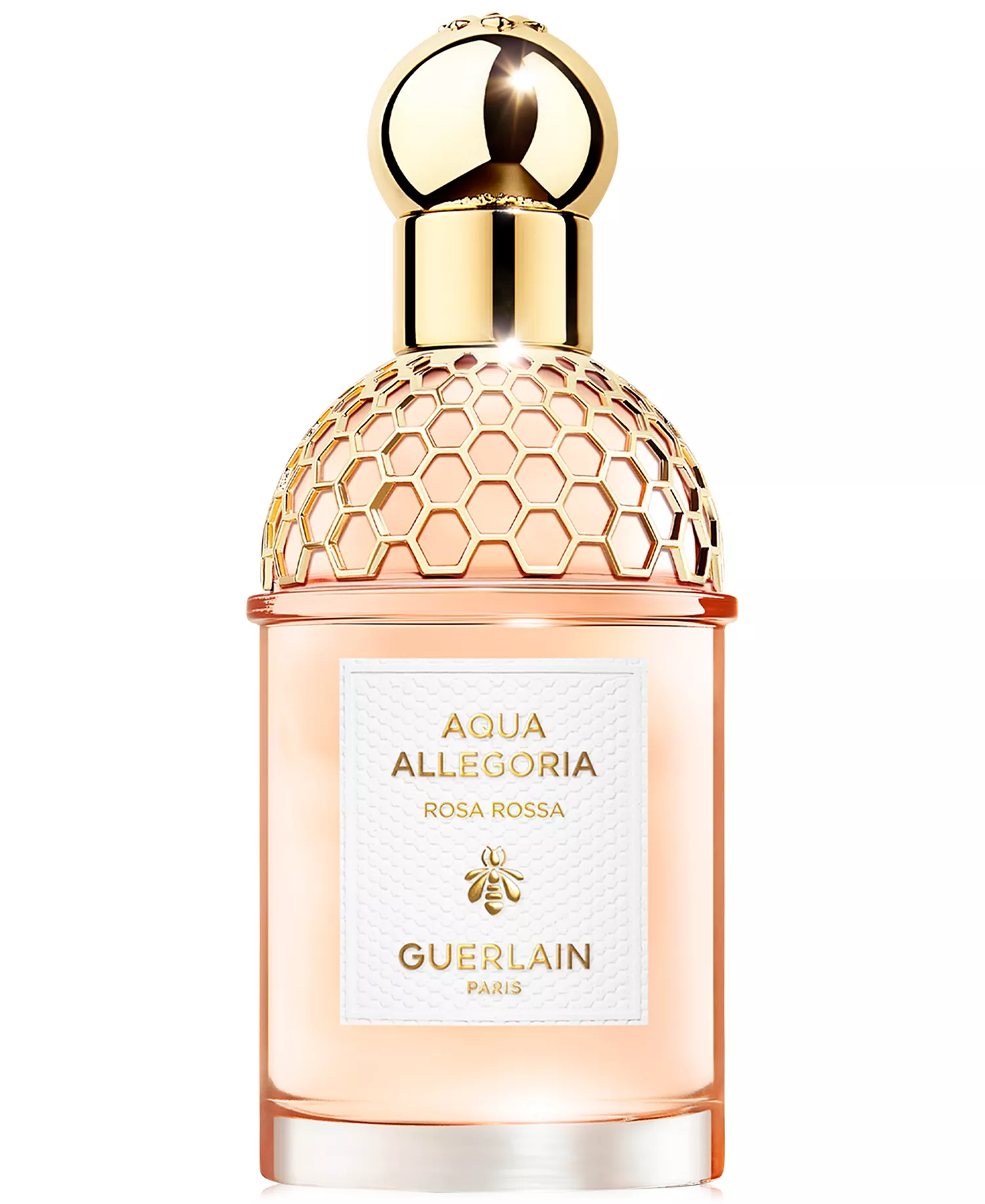 mni-9b993c16b918e7eefec10626c01e8cb0 Aqua Allegoria Rosa Rossa Eau de Toilette, 4.2 oz.