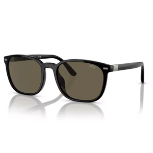 Men's Standard Sunglasses, PH4208U