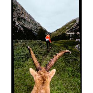nike acg “ibex” Плакат 22 x 34 дюйма