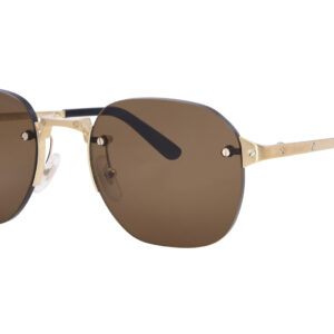 cartier santos de cartier brown round men's sunglasses ct0459s 006 53