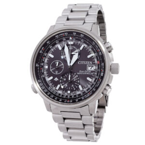 citizen promaster perpetual world time chronograph men's watch at8300 58e