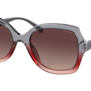 coach burgundy grey gradient butterfly ladies sunglasses hc8295 5620e2 56