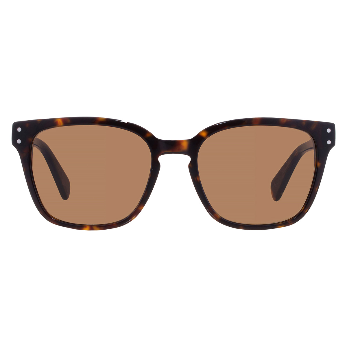 ferragamo brown square men's sunglasses sf1040scp 240 55 ferragamo brown square men's sunglasses sf1040scp 240 55