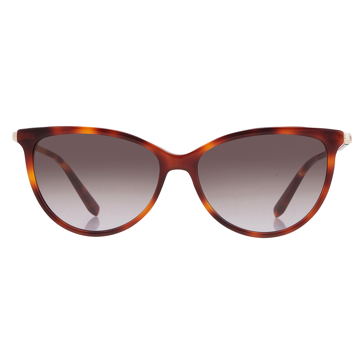 ferragamo grey cat eye ladies sunglasses sf2870scp 214 55 ferragamo grey cat eye ladies sunglasses sf2870scp 214 55