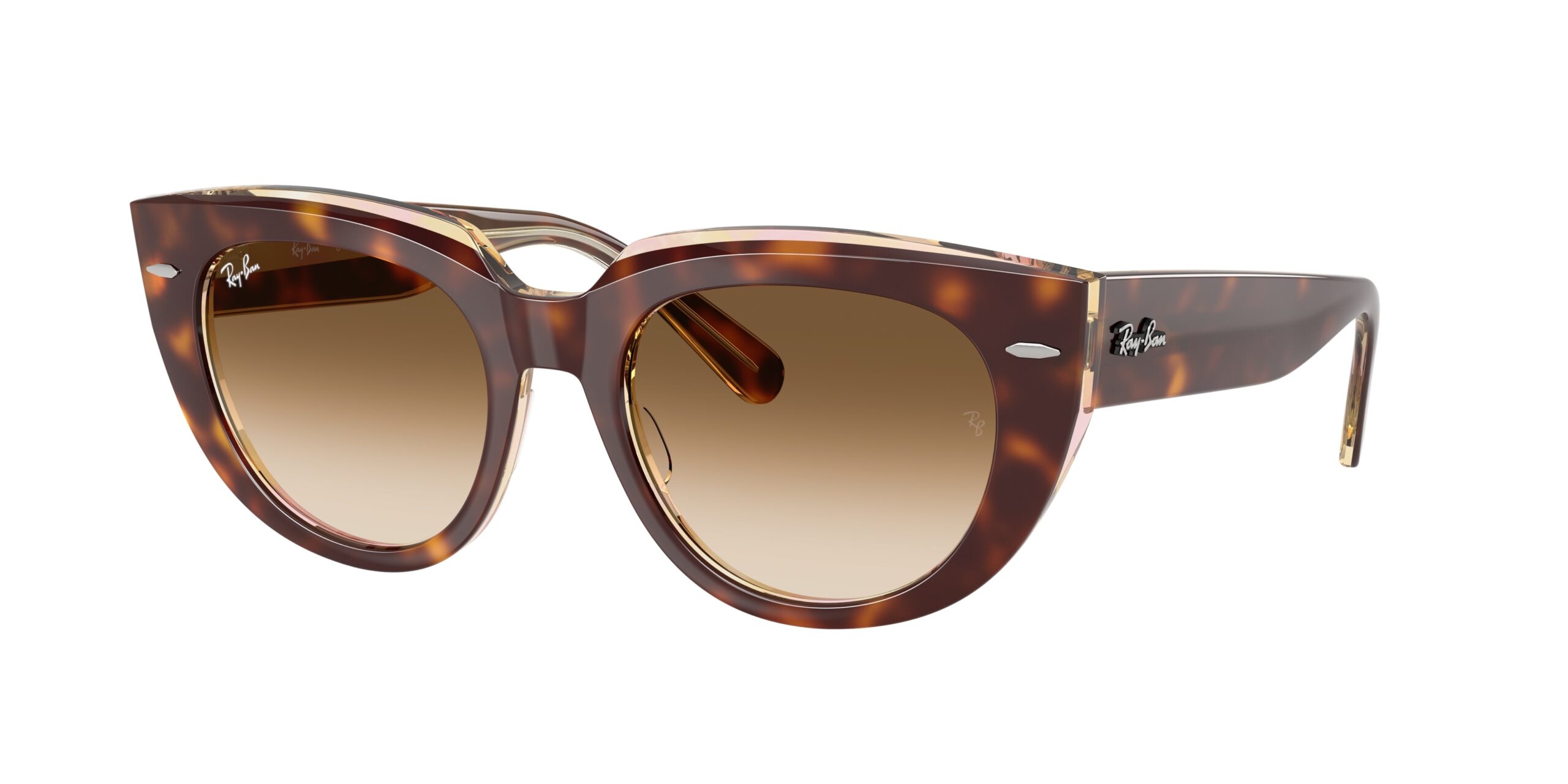 ray ban ray ban doreen brown gradient cat eye ladies sunglasses rb2286 141451 49 ray ban ray ban doreen brown gradient cat eye ladies sunglasses rb2286 141451 49