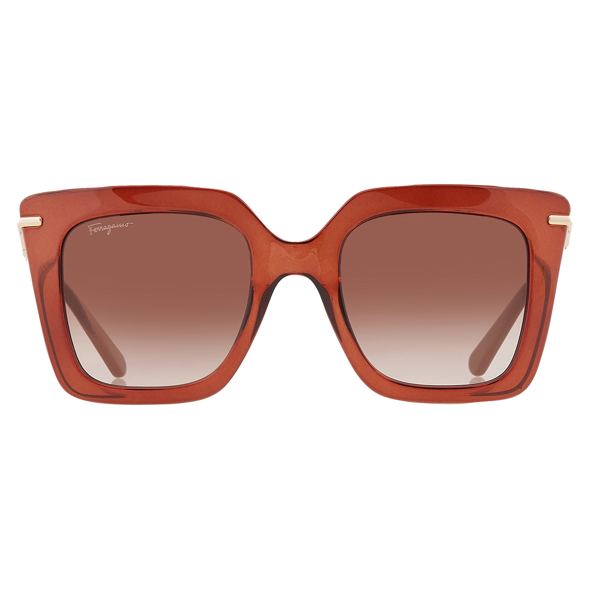 ferragamo salvatore ferragamo brown gradient butterfly ladies sunglasses sf1041s 232 51 ferragamo salvatore ferragamo brown gradient butterfly ladies sunglasses sf1041s 232 51