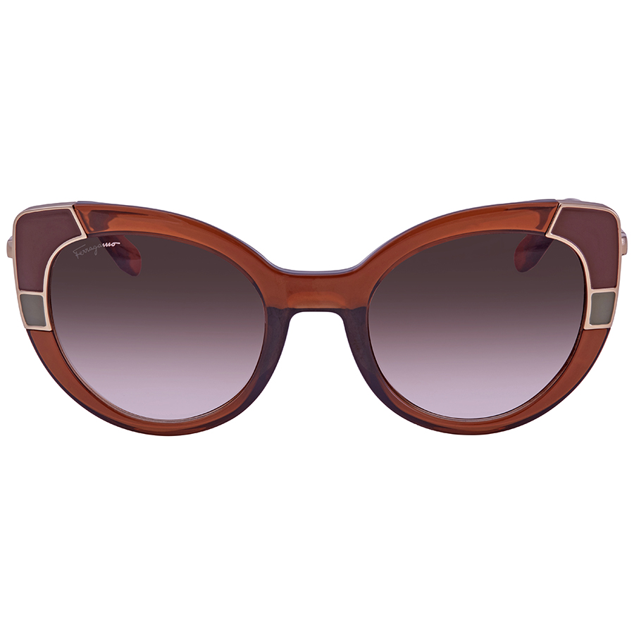 ferragamo salvatore ferragamo brown gradient cat eye ladies sunglasses sf890s 210 52 ferragamo salvatore ferragamo brown gradient cat eye ladies sunglasses sf890s 210 52