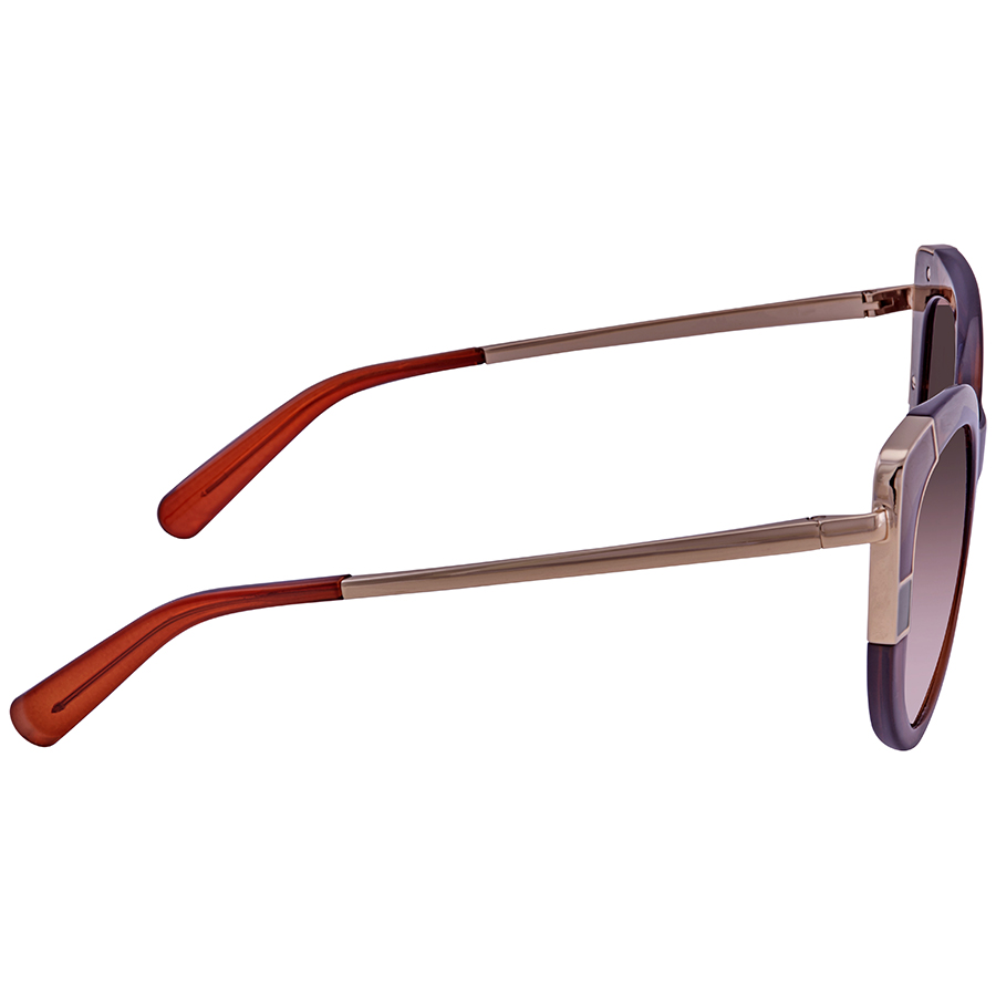 ferragamo salvatore ferragamo brown gradient cat eye ladies sunglasses sf890s 210 52 ferragamo salvatore ferragamo brown gradient cat eye ladies sunglasses sf890s 210 52