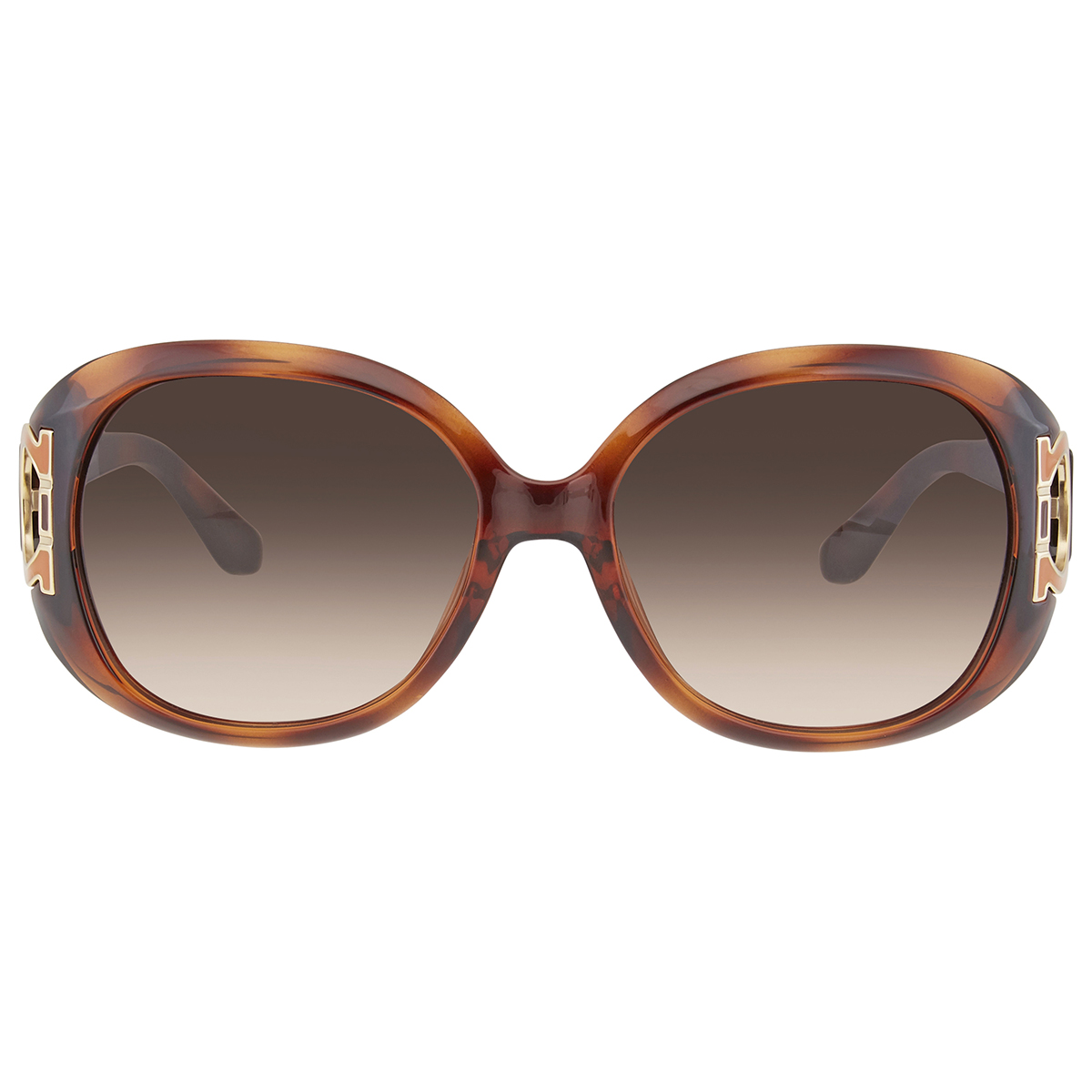 ferragamo salvatore ferragamo brown gradient oval ladies sunglasses sf668s 238 57 ferragamo salvatore ferragamo brown gradient oval ladies sunglasses sf668s 238 57