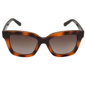 ferragamo salvatore ferragamo brown gradient rectangular ladies sunglasses sf955s 214 53