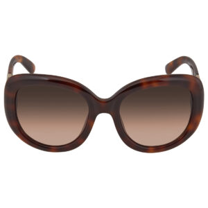 ferragamo salvatore ferragamo brown oval ladies sunglasses sf727s 214 53