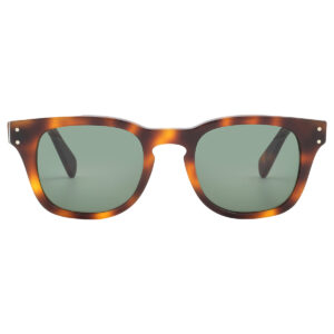 ferragamo salvatore ferragamo green sport men's sunglasses sf1057s 240 49