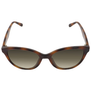 ferragamo salvatore ferragamo grey gradient butterfly ladies sunglasses sf1073s 240 54